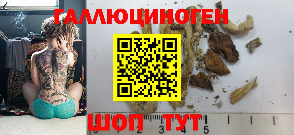 Псилоцибиновые грибы прущие грибы  Вход с VPN  где можно купить   Галлюциногенные грибы MAGIC MUSHROOMS  Североморск 